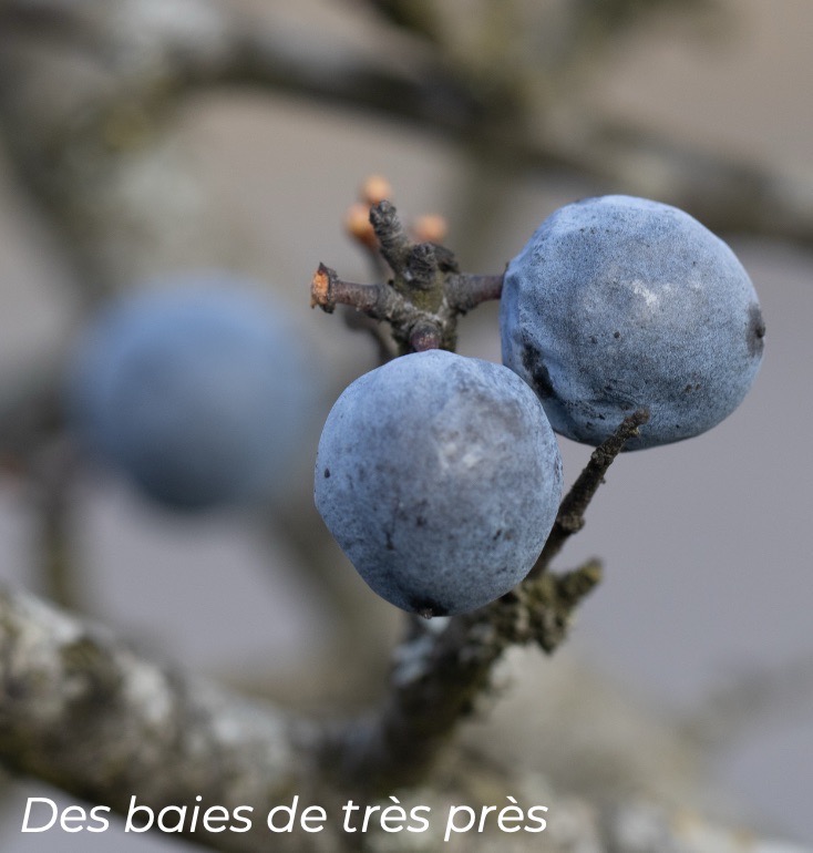 Description photo paysage