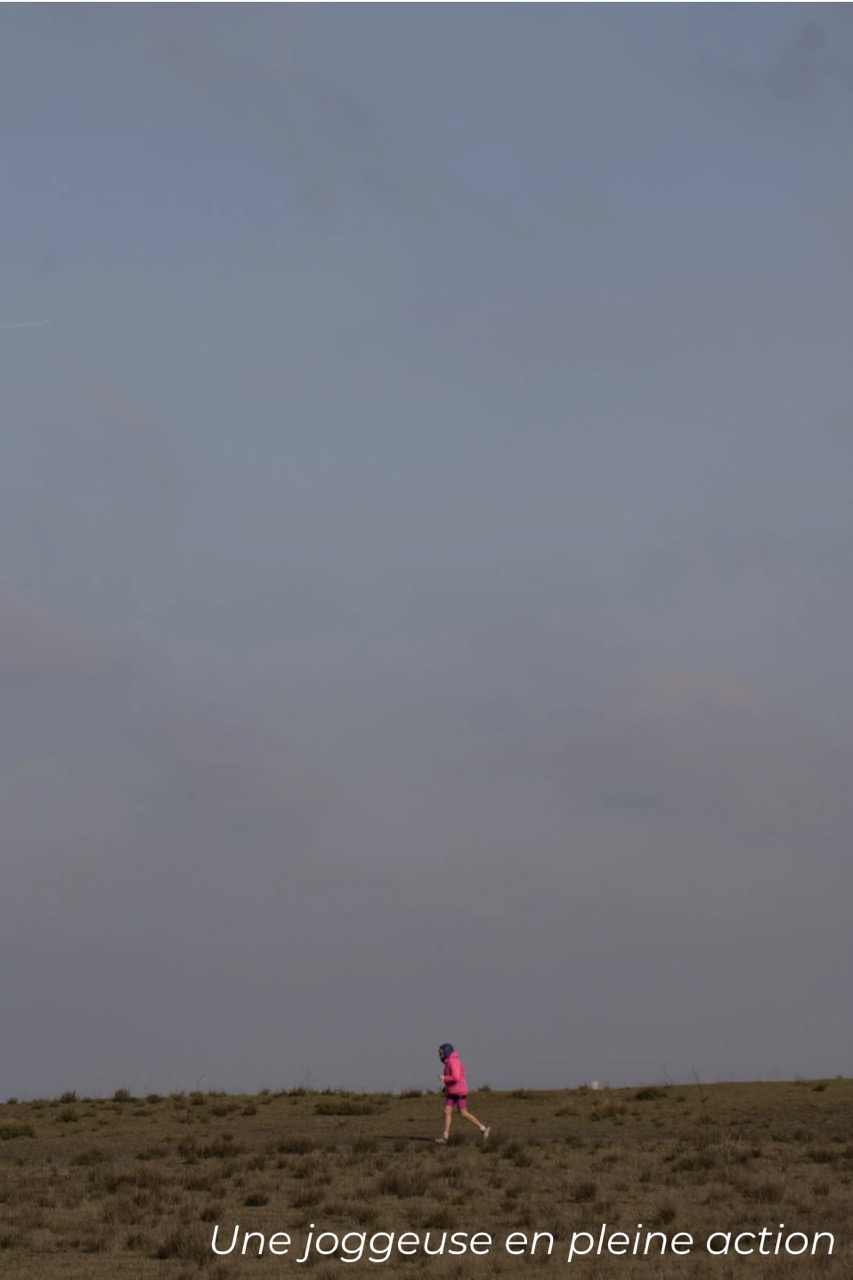 Description photo paysage